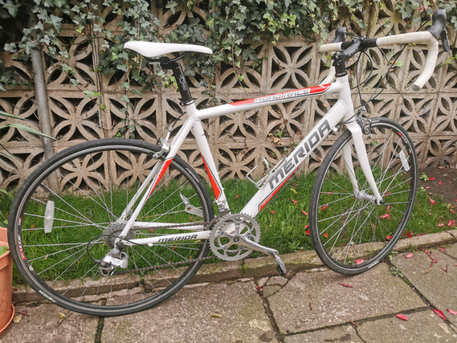 merida road race 750